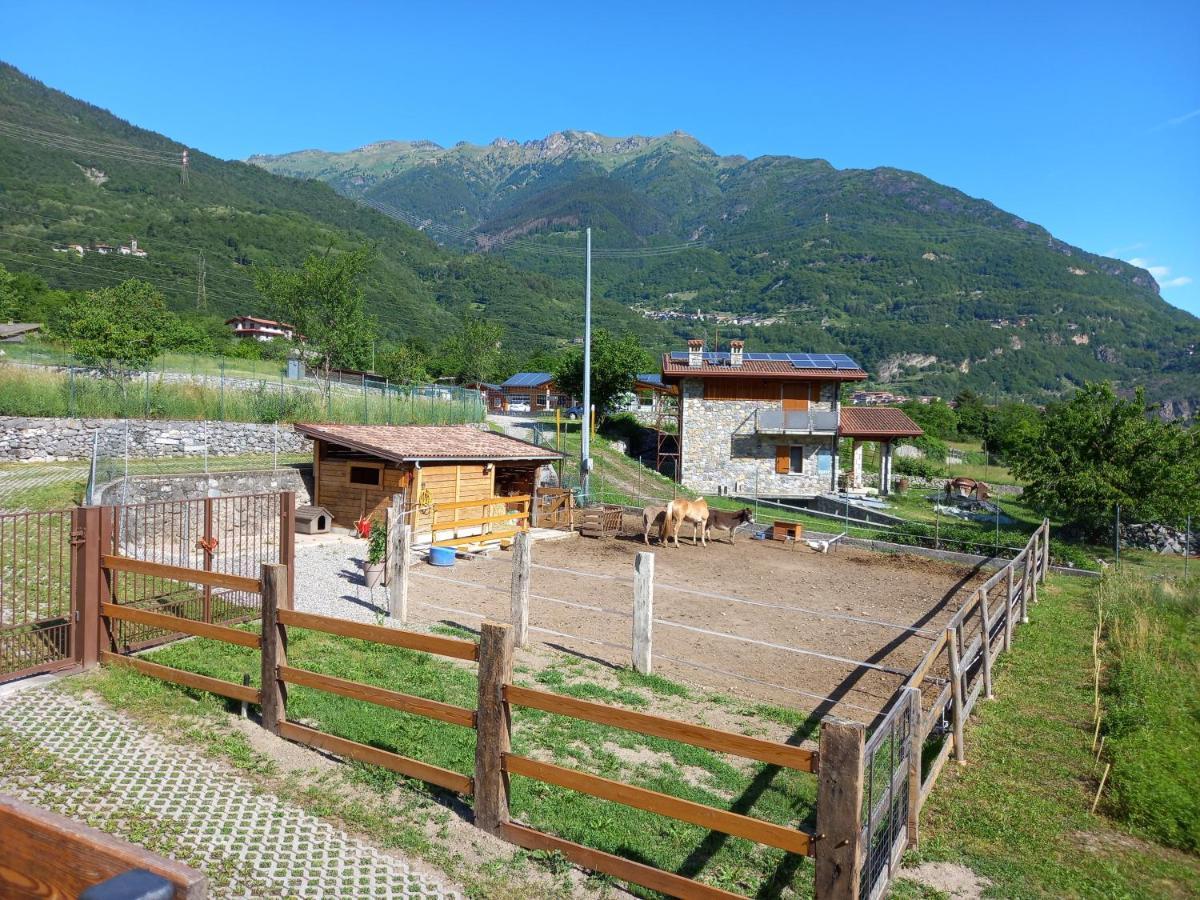 Azienda Agricola Agriturismo I Sei Petali Capo di Ponte Exterior foto